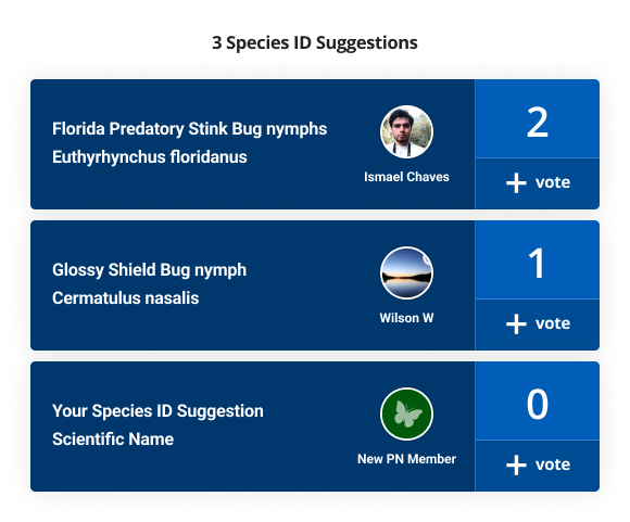 Species ID Suggestions