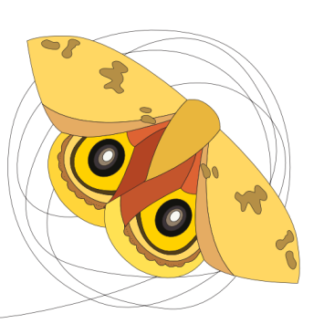 National Moth Week