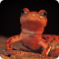 A bright orange frog sitting on a branch, facing forward, with textured skin.