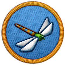 Arthropod Specialist Patch | Project Noah