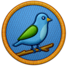 Bird Specialist Patch | Project Noah