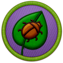 Bug Lover Patch | Project Noah