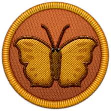 Butterflies & Moths of the World Patch | Project Noah