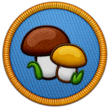 Fungi Specialist Patch | Project Noah