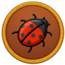 Lost Ladybug Patch | Project Noah