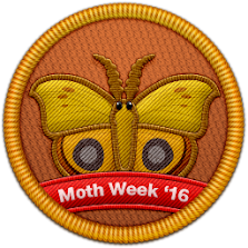 Moth Week 2016 Patch | Project Noah