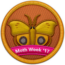 Moth Week 2017 Patch | Project Noah