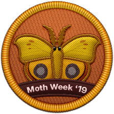 Moth Week 2019 Patch | Project Noah