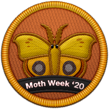 Moth Week 2020 Patch | Project Noah