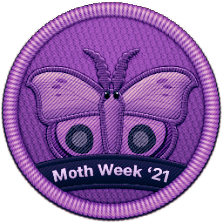 Moth Week 2021 Patch | Project Noah