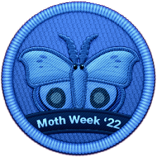 Moth Week Patch 2022 | Project Noah