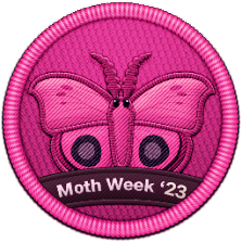 Moth Week Patch 2023 | Project Noah