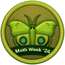 Moth Week 2024 Patch | Project Noah