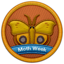 Moth Week Patch | Project Noah