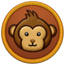 Primate Watch Patch | Project Noah