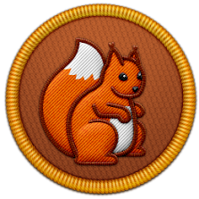 Project Squirrel Patch | Project Noah