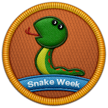 Snake Week Patch | Project Noah