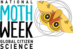 National Moth Week Logo